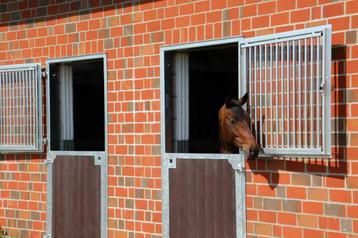 Staldeur | paardenstaldeur | buitendeur | paardenstal deur disponible aux enchères