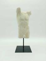 sculptuur, Torso maschile - 39 cm - marmeren stof, Antiek en Kunst