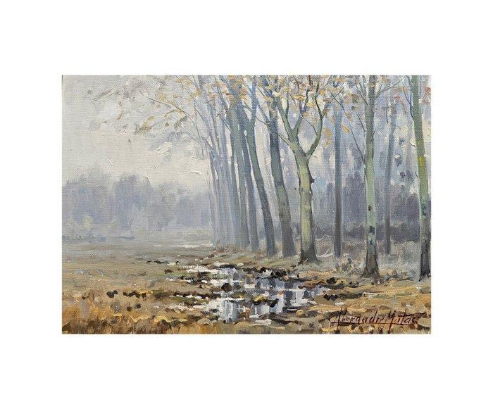 Alexandre Matas (1942) - Alameda entre la niebla, Antiek en Kunst, Kunst | Schilderijen | Klassiek