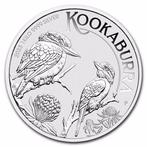 Australië. 30 Dollars 2023 1 Kilo $30 AUD Australian Silver, Antiek en Kunst