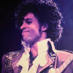 Govert de Roos - Prince Purple Rain Detroit