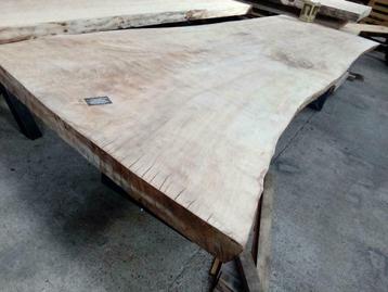 BOOMSTAMTAFEL, TAFELBLADEN , BOOMBLADEN, NATUURTAFELS, Ophalen