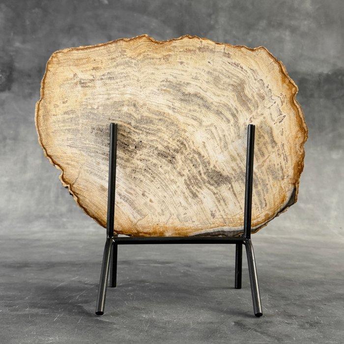 Prachtig stuk versteend hout op een op maat gemaakte, Antiek en Kunst, Kunst | Designobjecten