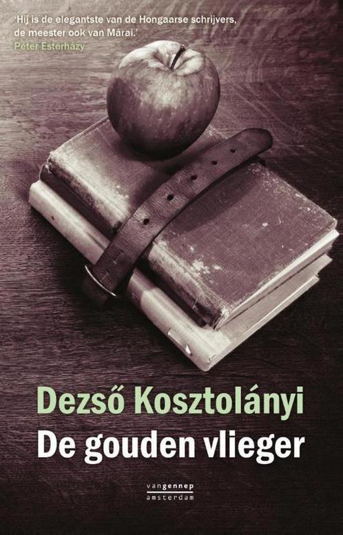 De gouden vlieger 9789461641601 Dezso Kosztolanyi, Boeken, Romans, Zo goed als nieuw, Verzenden