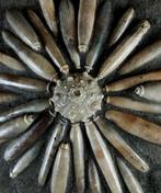 Fossiele zeester van hoge kwaliteit!!! - Pantser met, Verzamelen, Mineralen en Fossielen