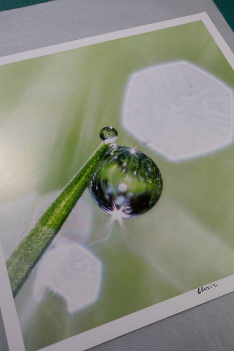 Inna Etuvgi - ELIXIR, Antiek en Kunst, Kunst | Schilderijen | Modern