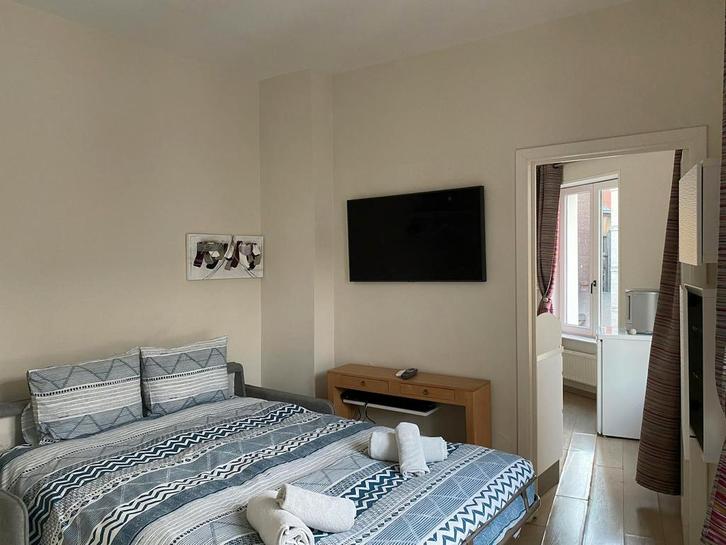 Appartement aan Rue du Jardin des Olives, Brussels, Immo, Appartementen en Studio's te huur, 20 tot 35 m²