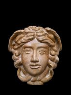 Sculpture, Testa Medusa Rondanini - 17 cm - pierre