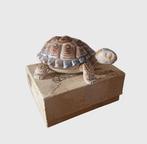 Decoratief ornament - Ceramica Wade - Verenigd Koninkrijk -