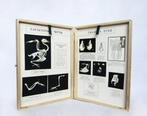 Lesmateriaal - Vintage educatief anatomisch model - skelet