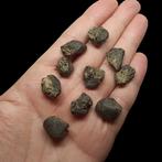 Lot van 10 meteorieten. NWA 869 (Algrië, 2000). CHONDRIET