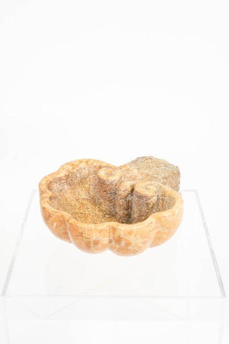 Wijwatervat - 1900-1910, Antiek en Kunst, Antiek | Overige Antiek