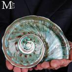 Uitzonderlijke kwaliteit van de natuurlijke moeder van parel