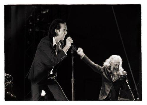 Roberto Cavalli - Nick Cave & Warren Ellis, Push the sky, Antiek en Kunst, Kunst | Schilderijen | Modern