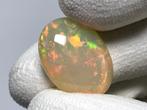 Geel, Meerkleurig Opaal - 13.41 ct - International, Nieuw