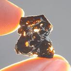 Météorite de Seymchan. Pallasite - 1.1 g, Verzamelen, Mineralen en Fossielen