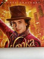 Warner Bross - Original Italian Cinema Release Wonka 2023