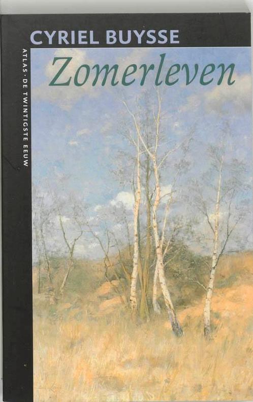 Zomerleven / De twintigste eeuw / 49 9789045014036, Boeken, Romans, Gelezen, Verzenden