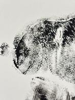 Jasper Nova - Lost Toy – Snoopy