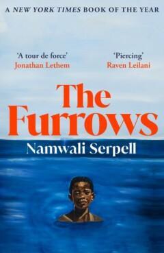The Furrows 9781529115550 Namwali Serpell, Livres, Langue | Anglais, Envoi