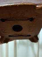 Juniperus chinensis kishu bonsai - Hoogte (boom): 25 cm -, Antiek en Kunst