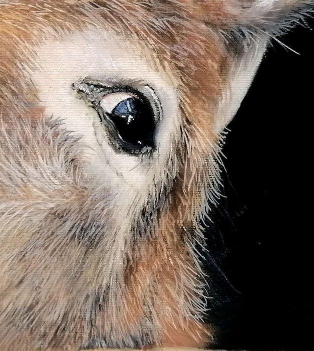 Danka Weitzen - ciuco, Antiek en Kunst, Kunst | Schilderijen | Modern