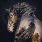 Jorge Omeñaca - A Troyan horse, Antiek en Kunst, Kunst | Schilderijen | Modern