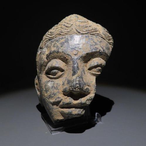 Gandhara Schist Bodhisattva-hoofdfiguur. 2e-5e eeuw n.Chr., Verzamelen, Mineralen en Fossielen