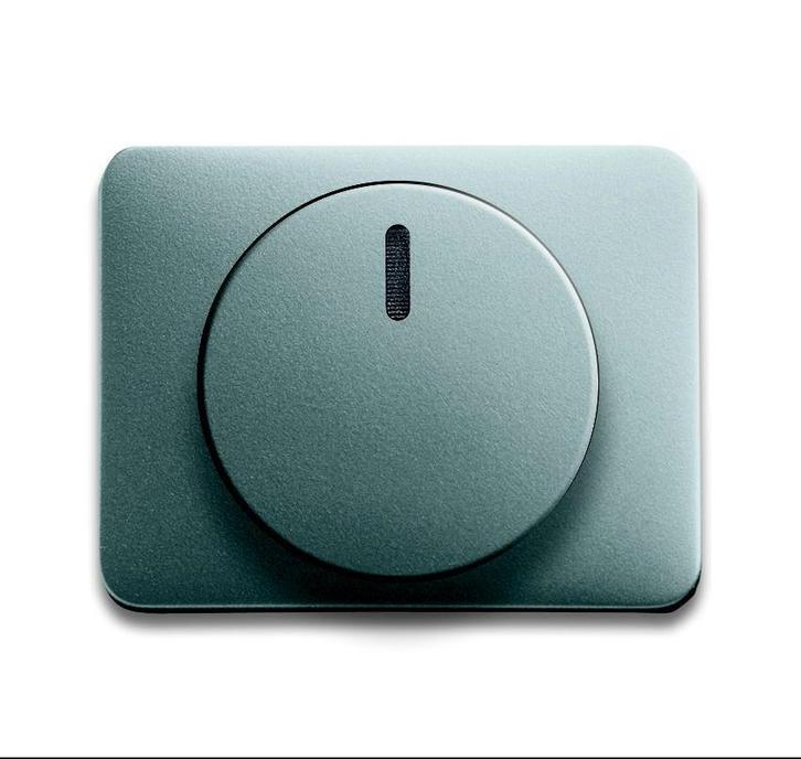 ABB Busch-Jaeger Alpha Schakelelement/Centrale Plaat -, Doe-het-zelf en Bouw, Elektriciteit en Kabels, Verzenden