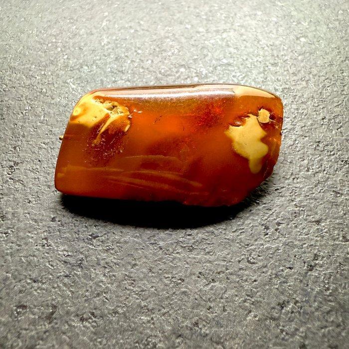 Oud natuurlijk Baltisch amber broche - Barnsteen - Baltic, Verzamelen, Mineralen en Fossielen