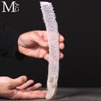 Fascinerende Abyssale Wezens Silezige spons Taxidermie