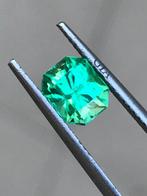 1 pcs Groen Smaragd - 1.29 ct - Gemological Institute of, Nieuw