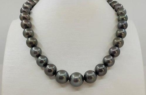 Halsketting Grote maat - 11x14mm ronde Tahitiaanse parels, Handtassen en Accessoires, Kettingen