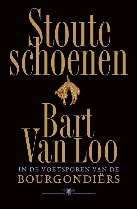 Stoute schoenen 9789403147918 Bart Van Loo, Livres, Histoire mondiale, Envoi