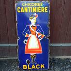 AUTRE - Chicorée Cantinière Black