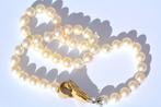 Collier - 18 carats Or blanc Perle - Diamant, Handtassen en Accessoires, Kettingen, Nieuw