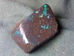 20,8 carats - Opale boulder australienne multicolore