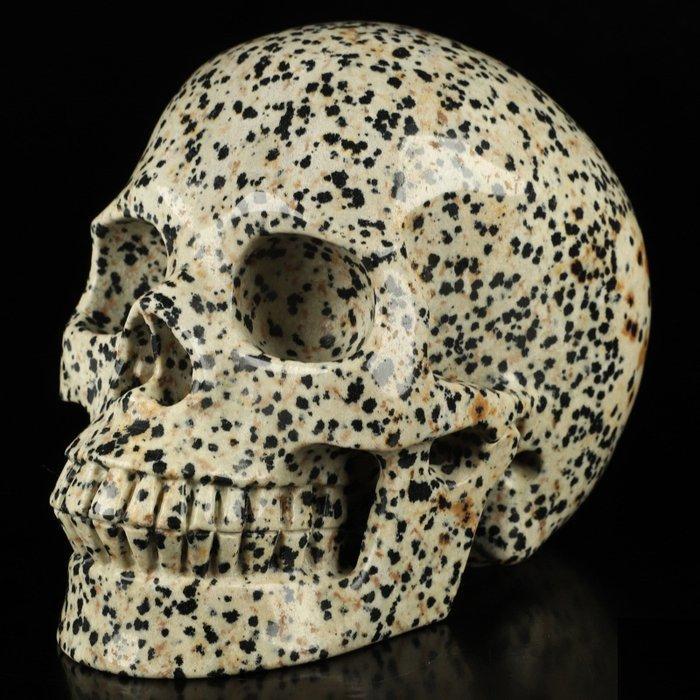 Aplite Dalmatian steen Hyperrealistische gigantische, Verzamelen, Mineralen en Fossielen