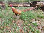 Beeld, Pheasant rooster - 39 cm - polyresin