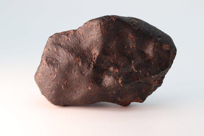 Niet-geclassificeerde NWA meteoriet Condrítico, Verzamelen, Mineralen en Fossielen