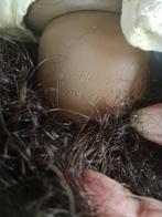 Annette Himstedt - Pop Fatou - 1980-1990 - Duitsland