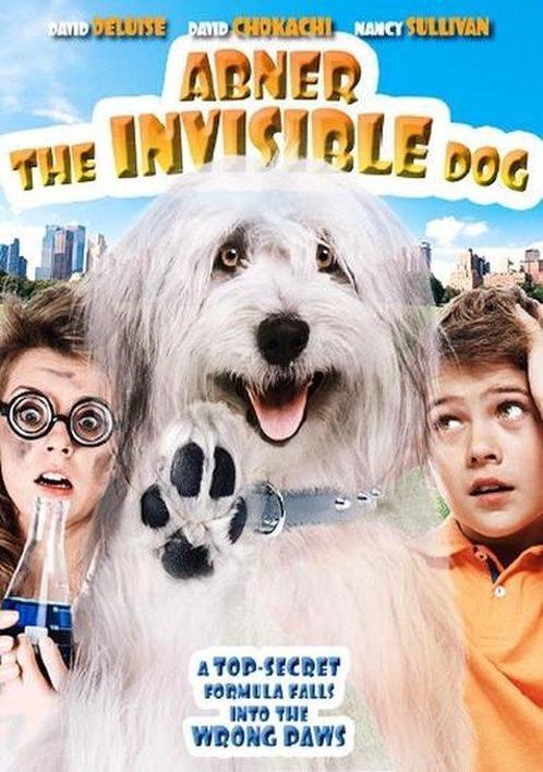 Abner, The Invisible Dog (dvd tweedehands film), CD & DVD, DVD | Action, Enlèvement ou Envoi