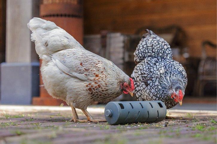 Beeztees Snackroller 100% gerecycleerd plastic, Dieren en Toebehoren, Pluimvee | Toebehoren, Nieuw