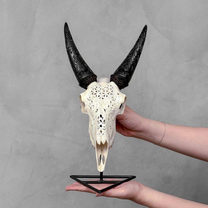 Sans prix de réserve - Vrai crâne de chèvre blanc sculpté à, Antiquités & Art, Art | Objets design