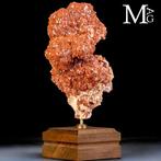 Star Aragonite uit Marokko – Kristallen Wonderen van de