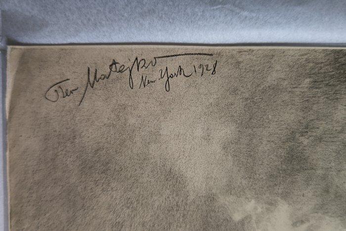 A Rare Poster - Theo Matejko Graf Zeppelin - Jaren 1920, Antiek en Kunst, Kunst | Tekeningen en Fotografie