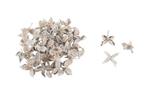 Cottonpod cotton pods white wash kleinverp 40 gram, Nieuw