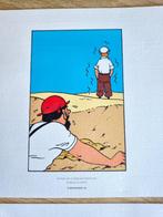 Hergé - Tintin – Lithographie (Albumillustration,, Boeken, Stripverhalen, Nieuw