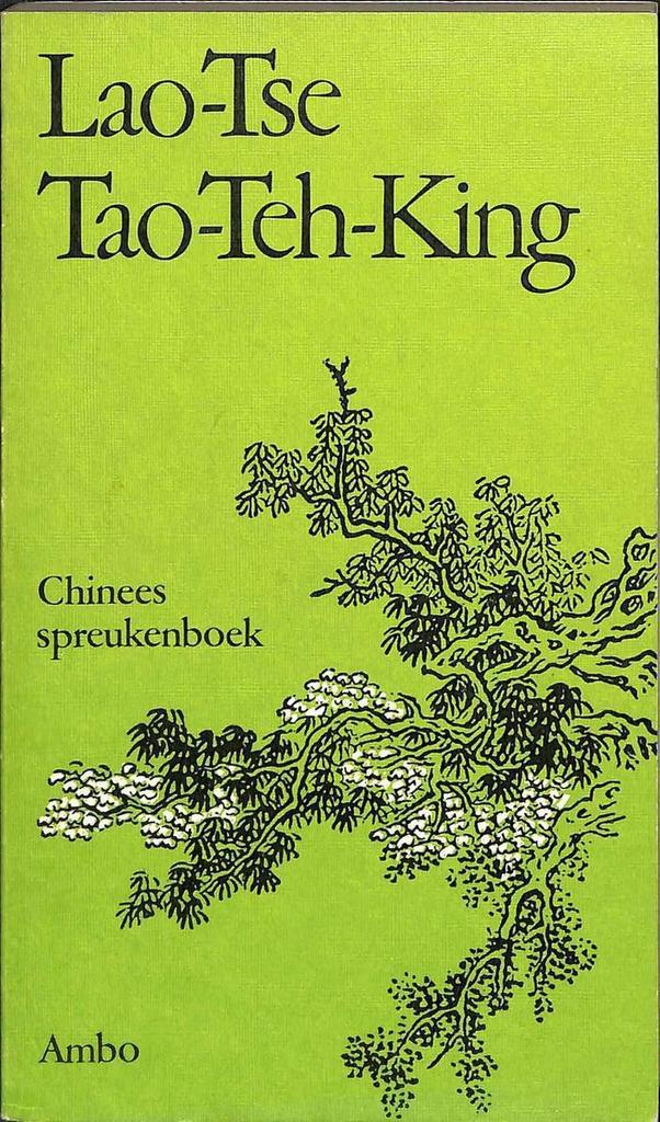 Tao-Teh-King 9789026303425 Lao-Tse, Boeken, Filosofie, Gelezen, Verzenden