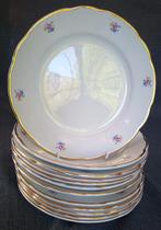 Richard Ginori - Tafelservies (12) - Keramiek - Roselline